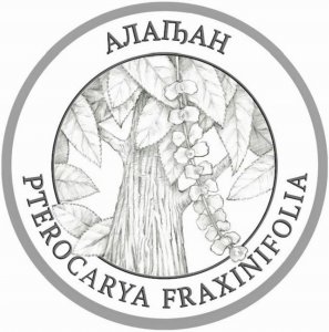 Pterocarya